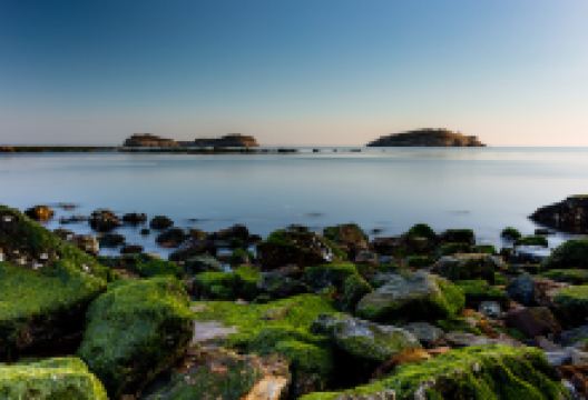 傅家庄公共海滩景点图片
