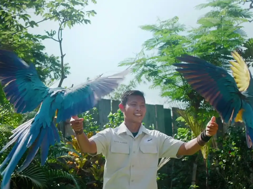 top-video