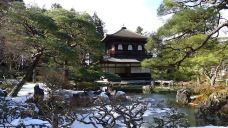 银阁寺-京都-翱翔的大鲨鱼