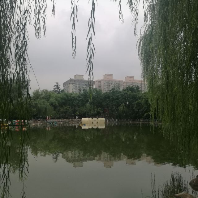 莲湖公园旅行图片 10