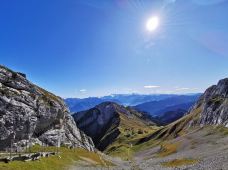 皮拉图斯山-阿尔卑纳赫-yanglish