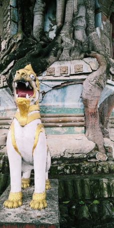 树包塔-芒市-icqpup