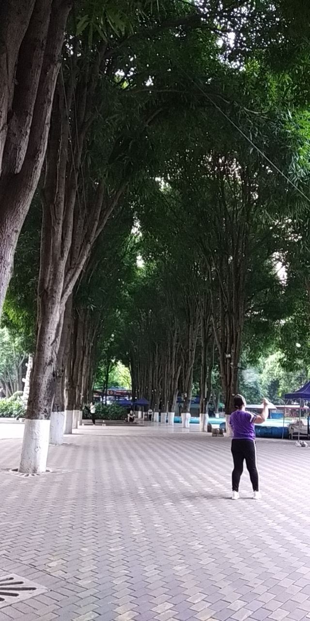 百色人民公园旅行图片 4
