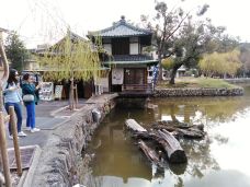 兴福寺-奈良-关裕年guanyunian