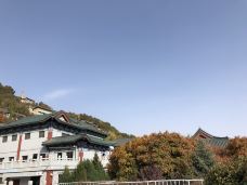 白塔山公园-兰州