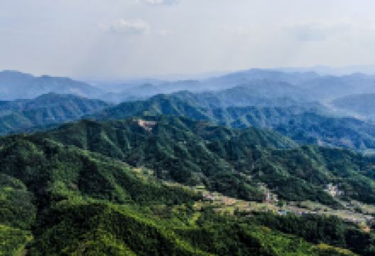 蝎子沟国家森林公园景点图片