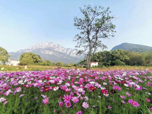庐山·鄱湖湾景区