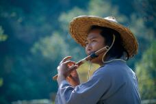 桃花源-桃源-YoYo_2N2K9N5U