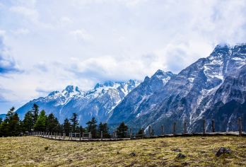 丽江玉龙雪山云杉坪+牦牛坪+蓝月谷一日游【精选纯玩小团】【丽江古城、束河古镇周边以及主城区免费接送】
