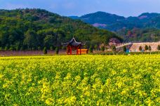 花园村景区-东阳-C-IMAGE