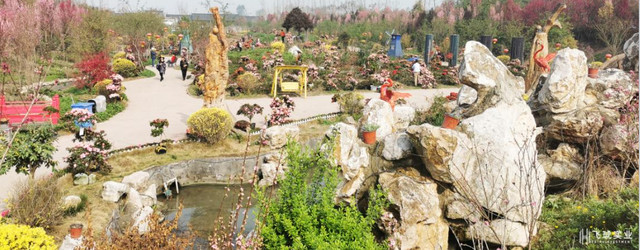 四川踏青旅游攻略,get朋友圈神颜风景
