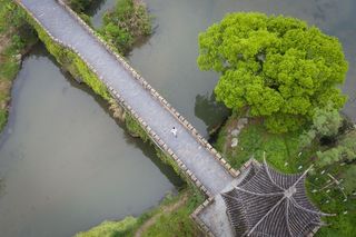 在明月山，我遇见了一场最美的春天