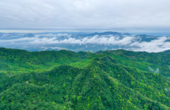 三明游记图片] 三天两晚，玩转绿都三明