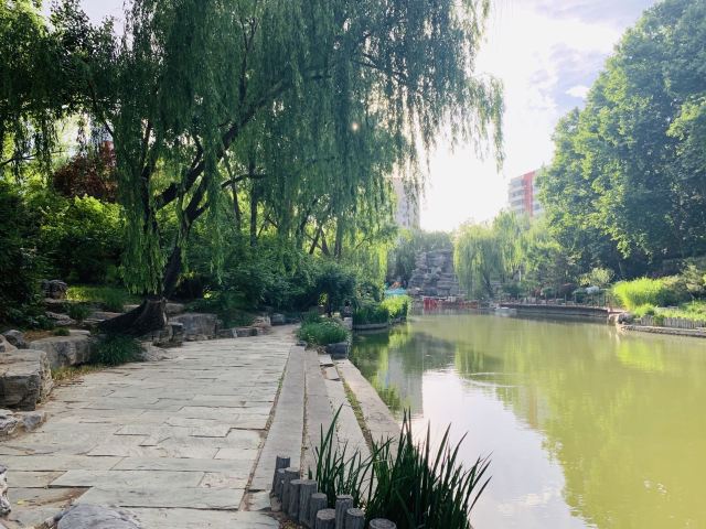 柳荫公园旅行图片 4