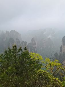 三道沟林场村-多伦-滇国剑客