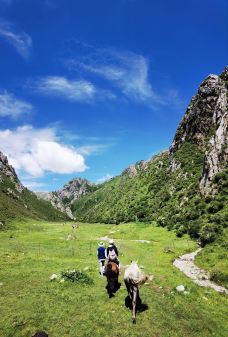 阿坝州纳摩大峡谷-若尔盖-爱喝茶的辰琪哥