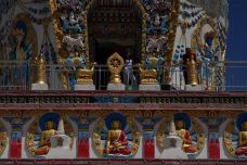 吾屯下寺-同仁-听爵士的流氓兔