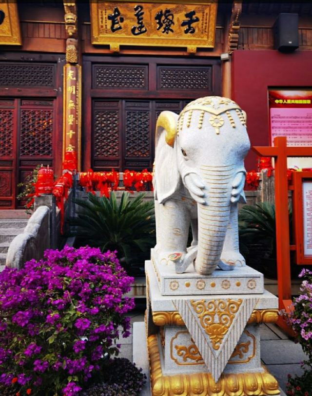 明教寺旅行图片 1