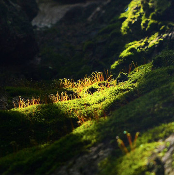 不出宁波轻松过完夏天,这份来自奉化的出游指南送给你