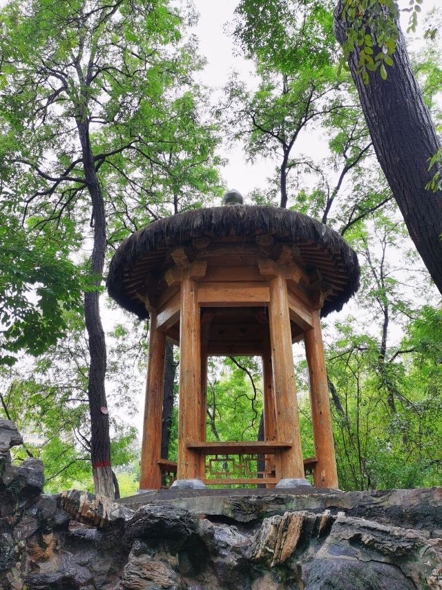 莲湖公园旅行图片 11