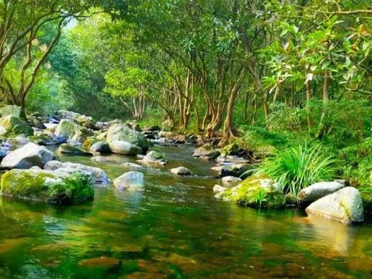 大庙江生态旅游景区