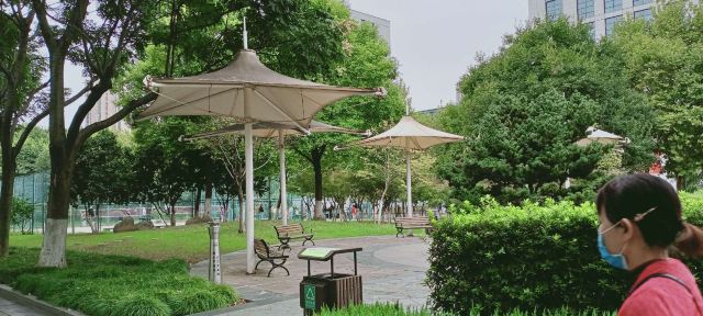 后襄河公园旅行图片 10