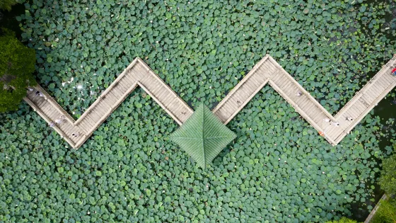 共樂園