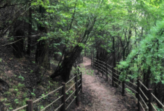 神池国家登山步道景点图片