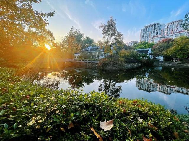 闸北公园旅行图片 3