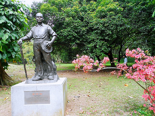 广州之九：华南植物园  禾雀花无“寡男” 牡丹花照无眠