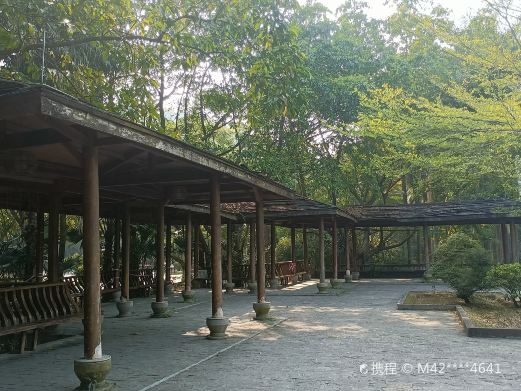 滴水岩森林公园