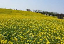 爱尚庄园景点图片