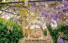Villa degli Aranci餐厅图片