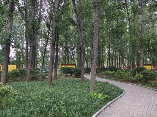 沂河公园
