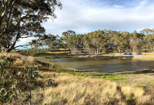 Mitre Dam Reserve景点图片