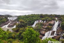 Shivanasamudra景点图片