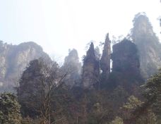 师徒取经-张家界