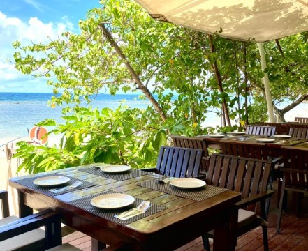 Sabienglae lamai