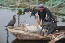 白洋淀风景区-雄县-把剑长歌
