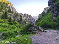 阿坝州纳摩大峡谷-若尔盖-YoYo_0Y6N3X8W