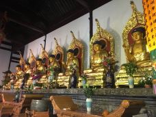 北塔报恩寺-苏州-狮子贝双子玥