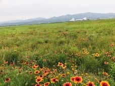 敕勒川草原-呼和浩特-初墨初晴