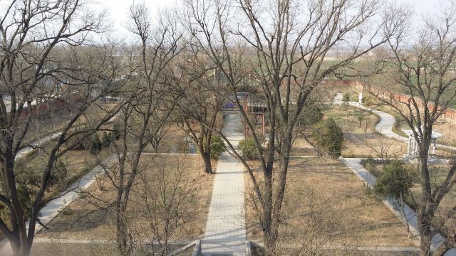 文峯木塔旅行图片 7
