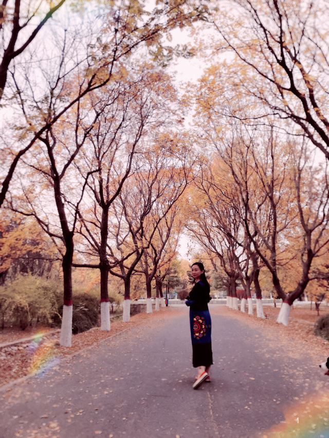 东坝公园旅行图片 8