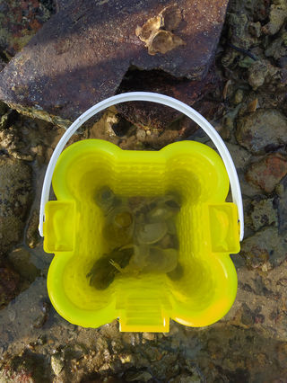 春节•海之南(二、陵水34)