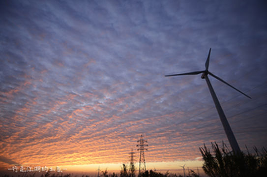 黄海之滨的风景,中国最大的海上风电场,南通如东魅力无限