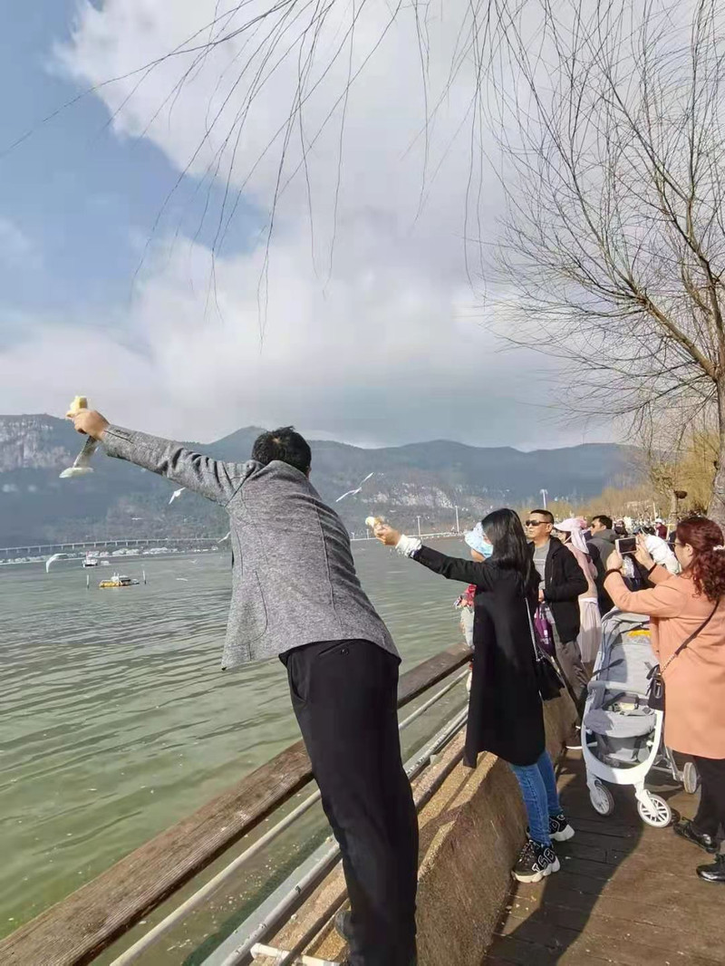 昆明旅游网