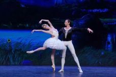 莫斯科-雨菲依然