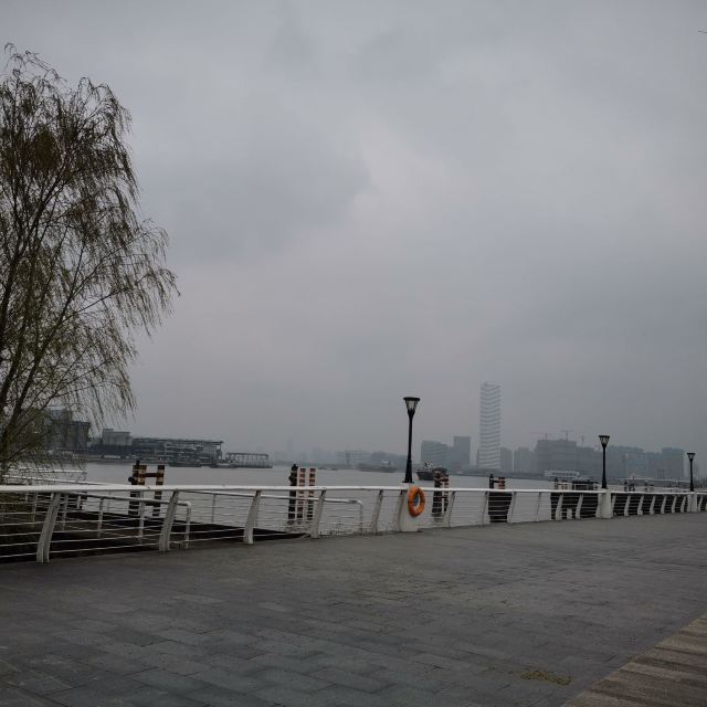 滨江大道旅行图片 1