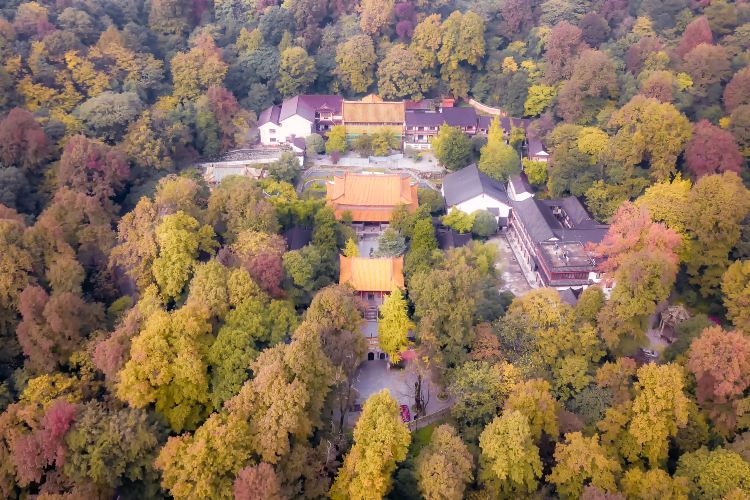 古麓山寺
